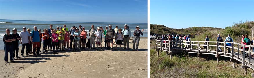 merl strandBoardwalk 800